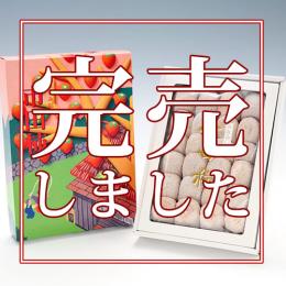 市田柿(贈答用化粧箱700g